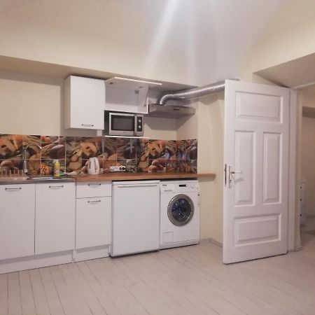 Vilnius Collegium Apartment 外观 照片